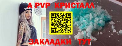 индика Пенза