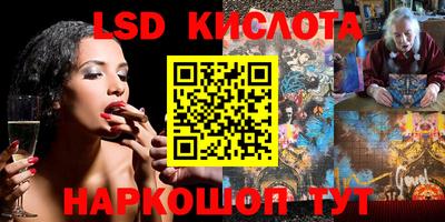 индика Пенза