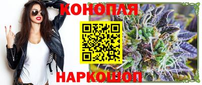 индика Пенза
