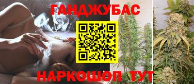 индика Пенза