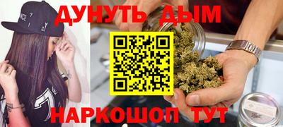 индика Пенза