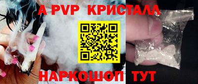 индика Пенза
