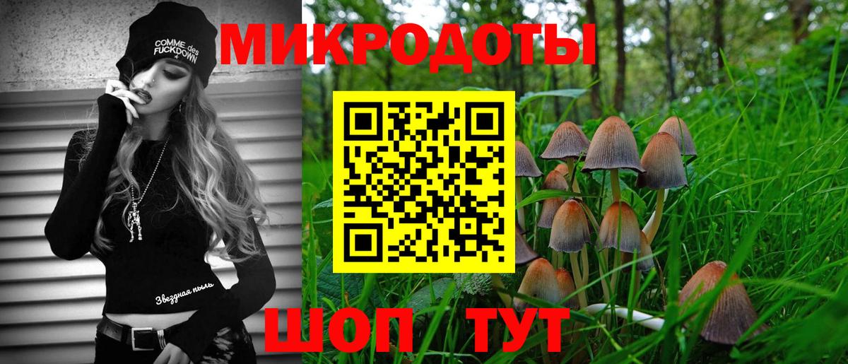 Псилоцибиновые грибы мухоморы Пугачёв