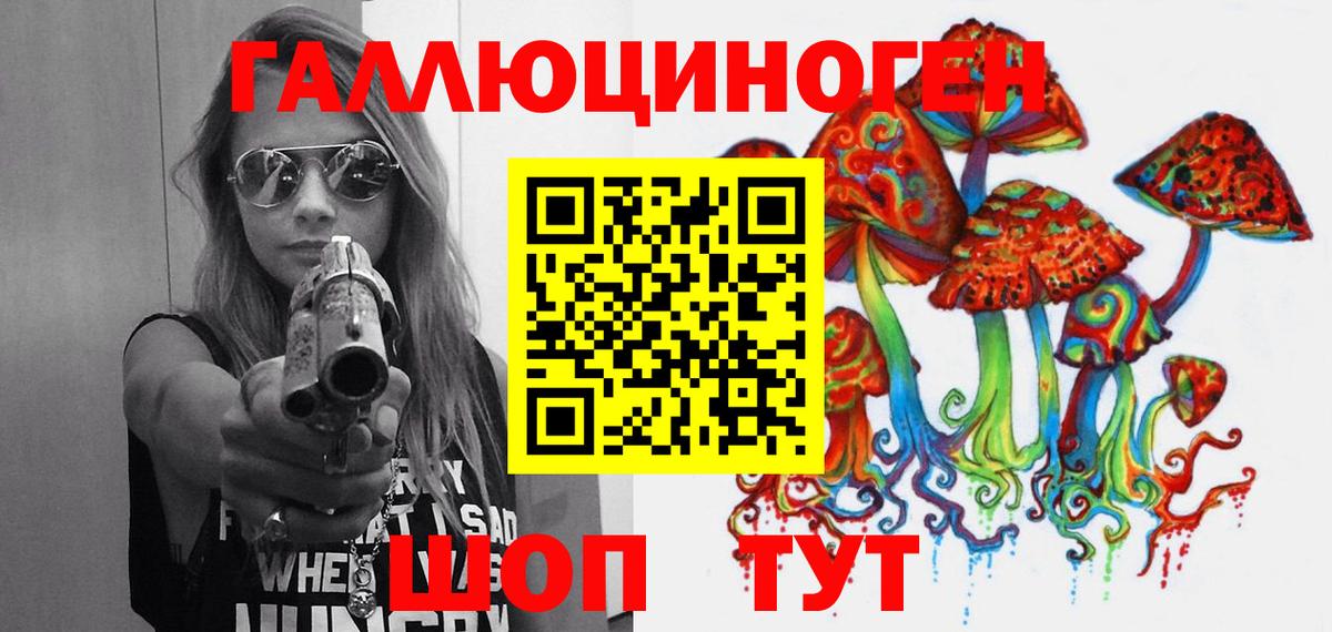 Пугачёв  Галлюциногенные грибы Psilocybe  Вход с VPN 